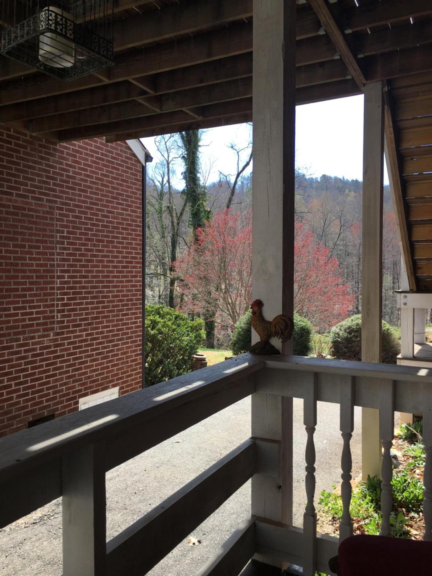Grafton Lodge Lake Lure Ngoại thất bức ảnh